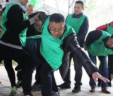 蓝月亮料全年资料大全