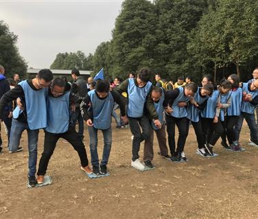 蓝月亮料全年资料大全