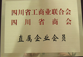 蓝月亮料全年资料大全