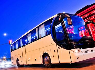 蓝月亮料全年资料大全