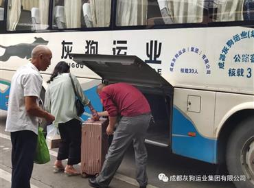 蓝月亮料全年资料大全