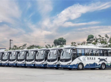 蓝月亮料全年资料大全