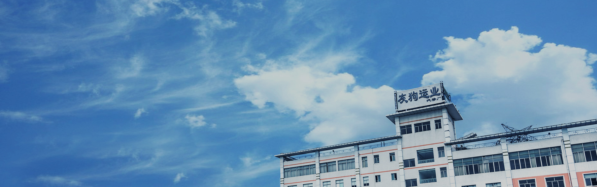 蓝月亮料全年资料大全