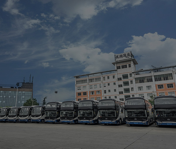 蓝月亮料全年资料大全