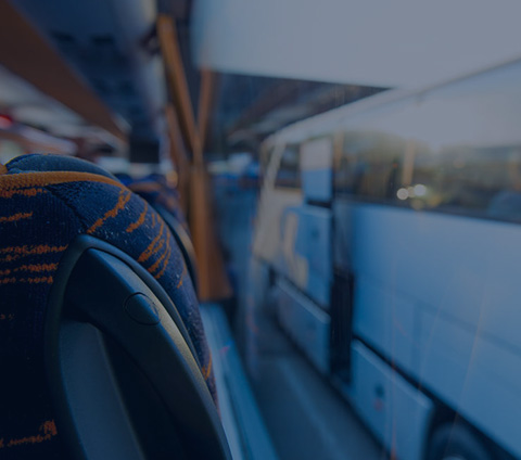 蓝月亮料全年资料大全