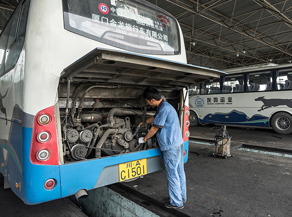 蓝月亮料全年资料大全