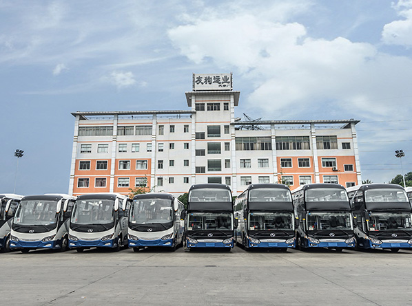 蓝月亮料全年资料大全