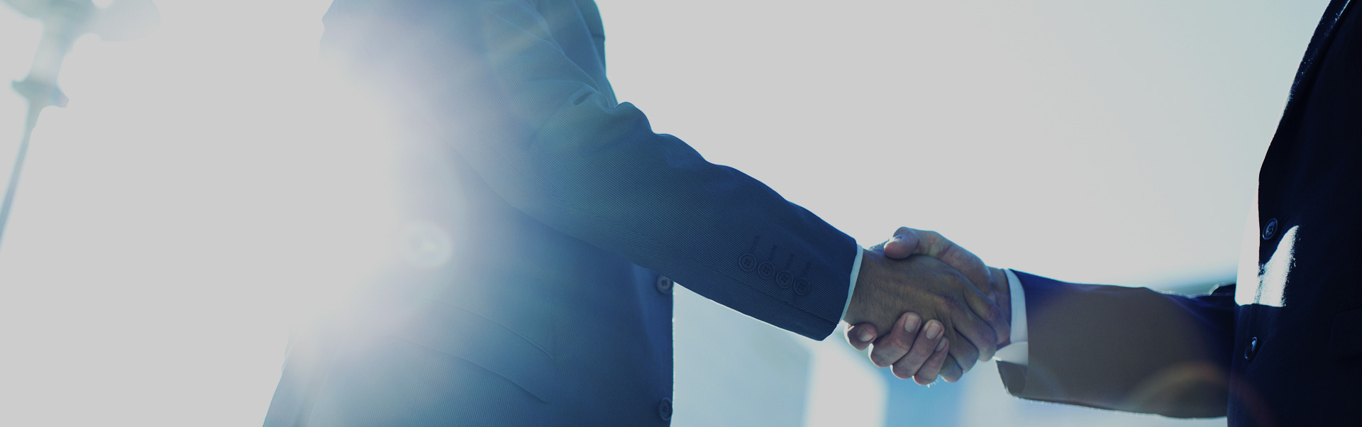 蓝月亮料全年资料大全