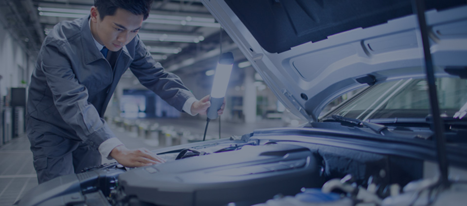 蓝月亮料全年资料大全