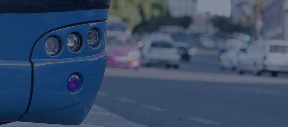 蓝月亮料全年资料大全