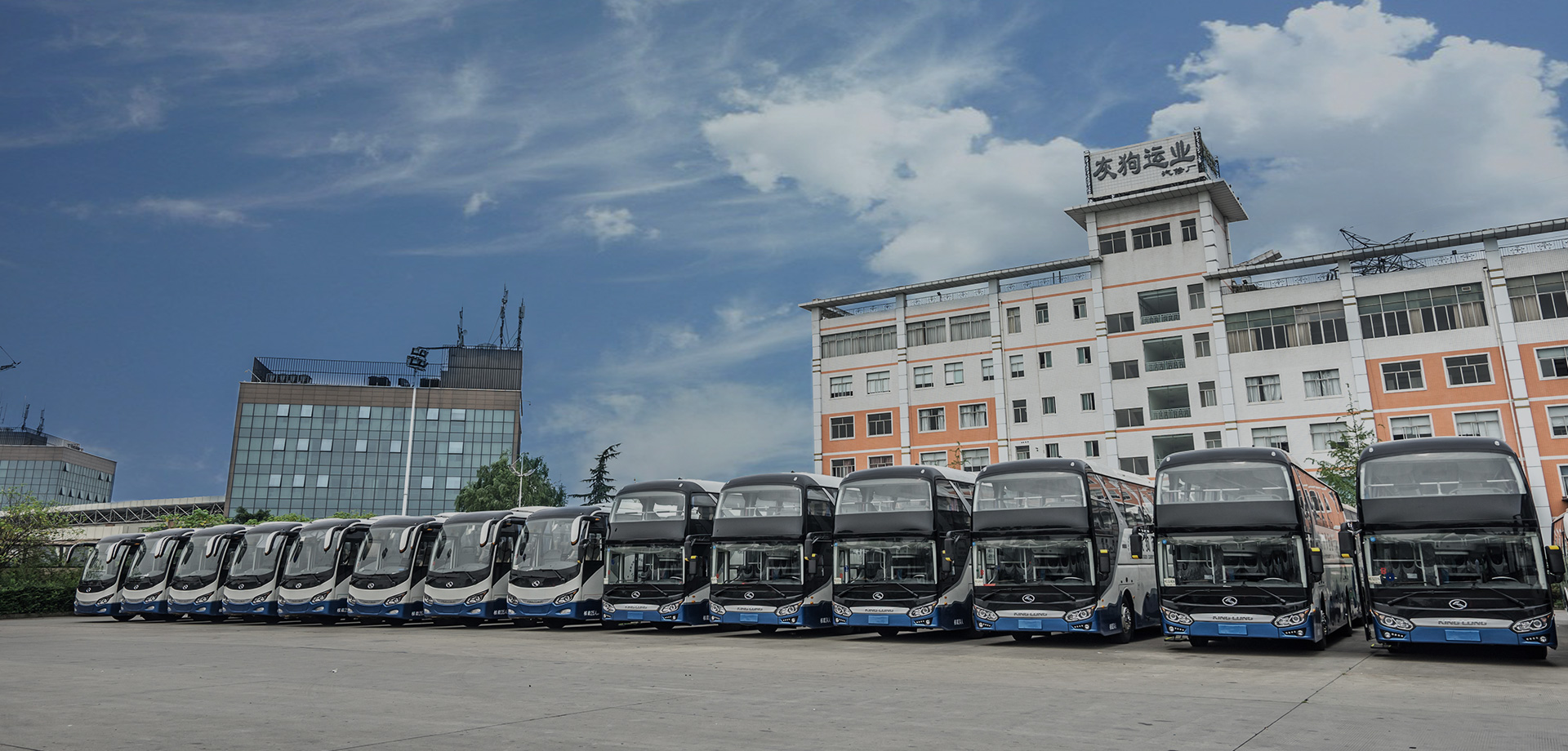 蓝月亮料全年资料大全