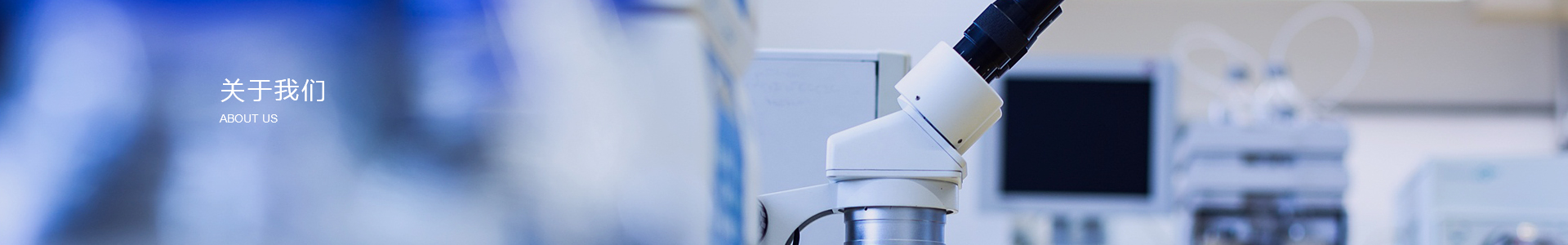 蓝月亮料全年资料大全