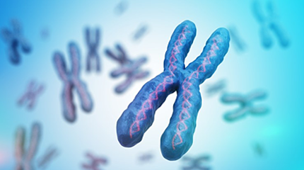 蓝月亮料全年资料大全