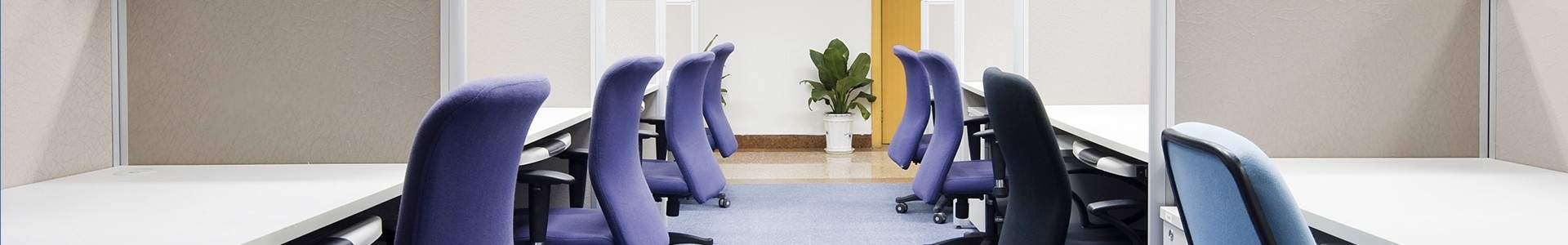 蓝月亮料全年资料大全