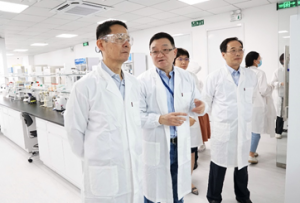 蓝月亮料全年资料大全