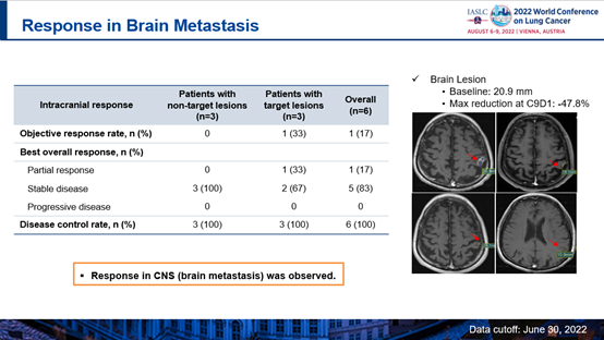 蓝月亮料全年资料大全