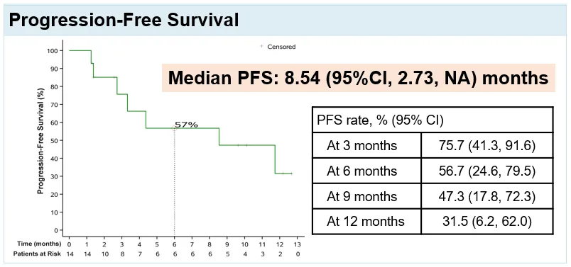 蓝月亮料全年资料大全